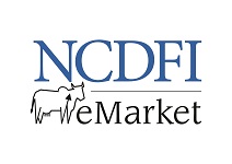 ncdfi 